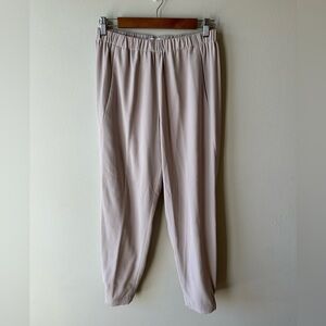 Babaton Pants from Aritzia